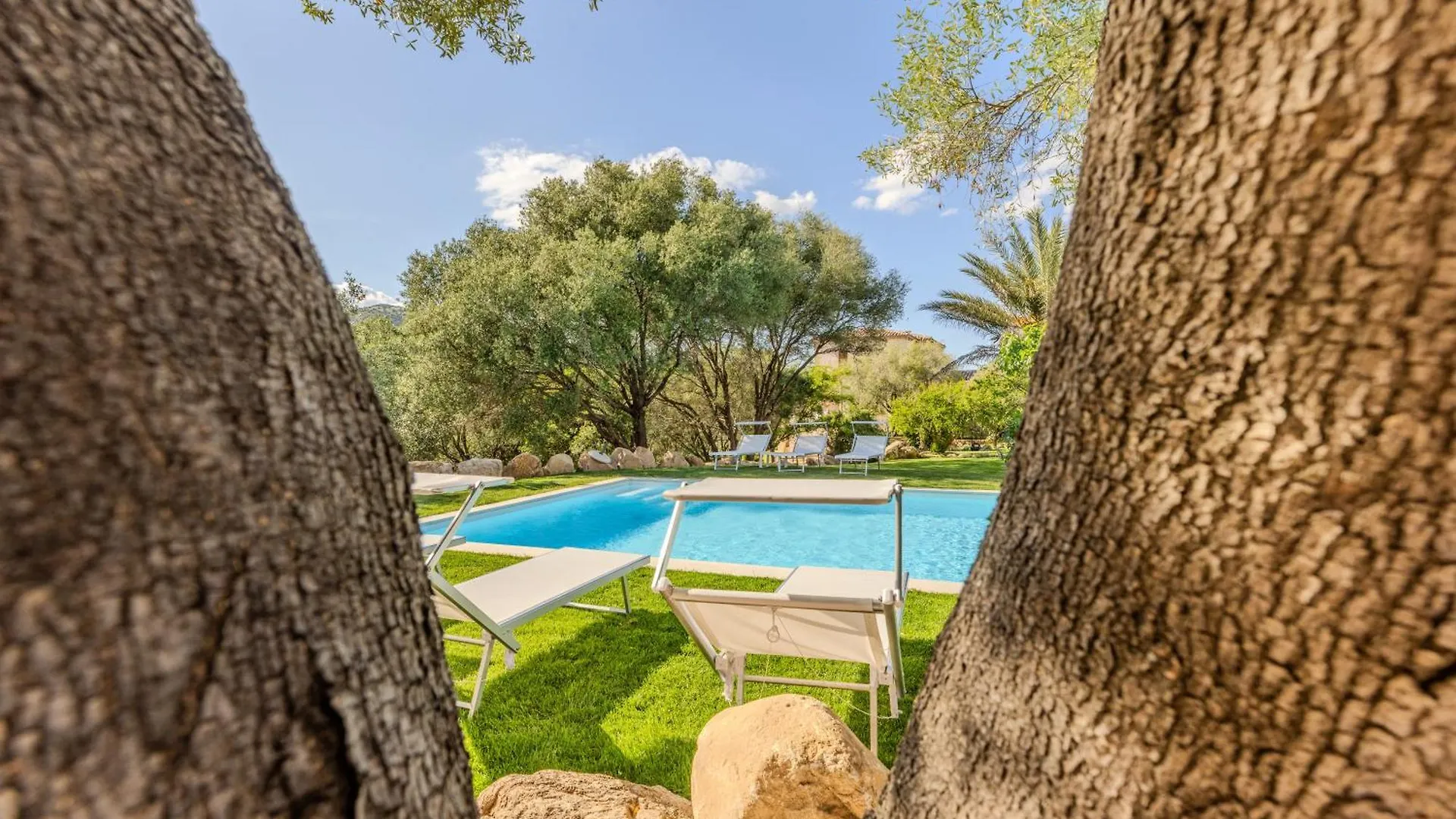 Ferienwohnung Stazzo San Teodoro Il Ginepro Piscina Condivisa Apartment San Teodoro (Sardinia)